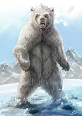 Bear, Ice