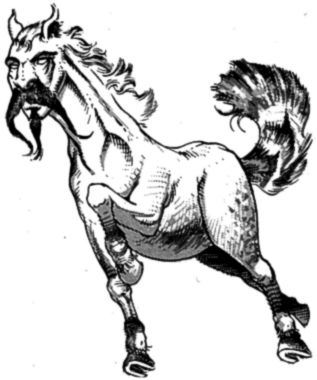 Buraq