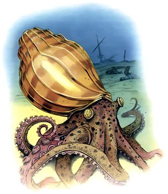 Golden Ammonite