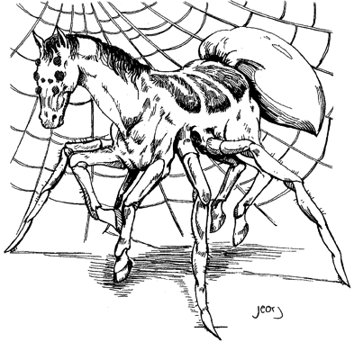 Horse, Spider