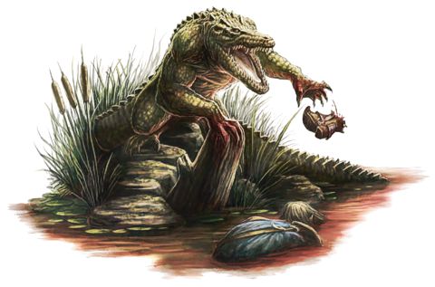 Lycanthrope, Werealligator