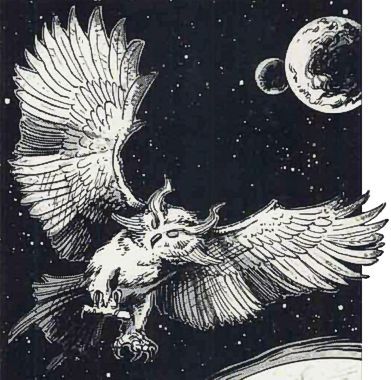 Owl, Space