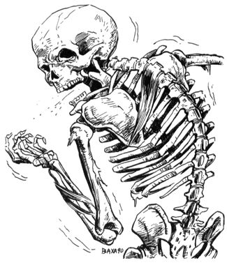 Strahd Skeleton