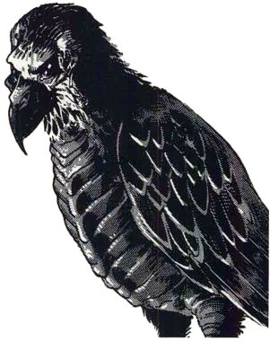 Skullbird