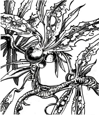 Sluk