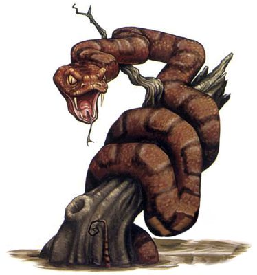 Snake, Mahogany Constrictor