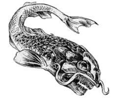 Dinichthys