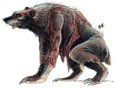 Lycanthrope, Werebear
