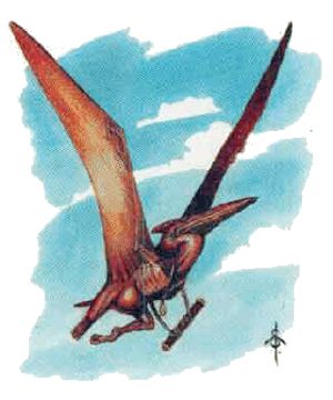 Saurial, Flyer