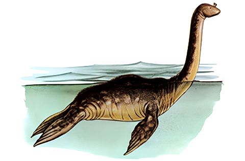 Long-necked