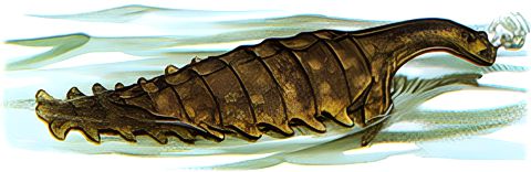 Many-finned