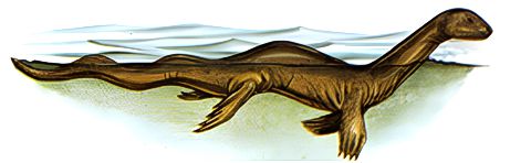 Supper otter