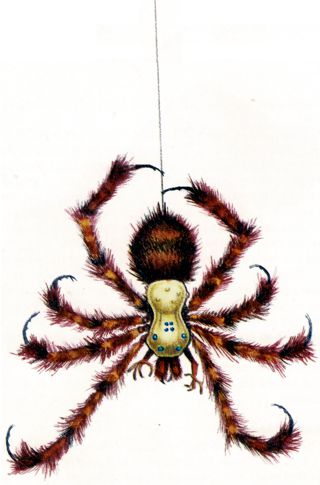 Spider-kin