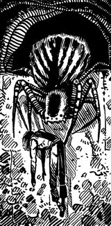 Spider, Sword