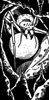 Spider, Watch