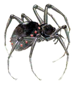 Wraith-Spider